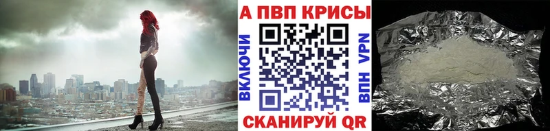 A PVP СК КРИС  Гвардейск 
