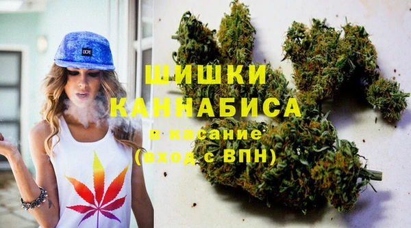 соль ск Нея