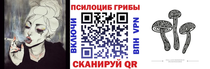 Псилоцибиновые грибы Cubensis  Гвардейск 