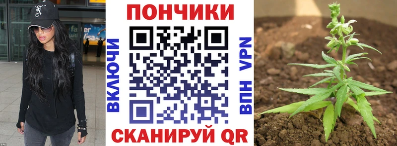ссылка на мегу ТОР  купить наркотик  Гвардейск  Марихуана White Widow 